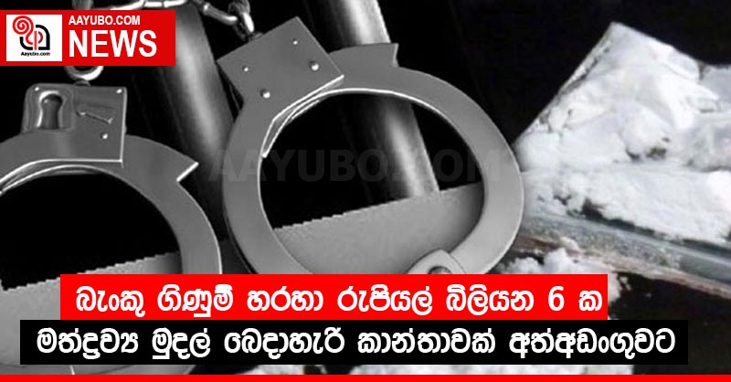 බැංකු ගිණුම් හරහා රුපියල් බිලියන 6ක මත්ද්‍රව්‍ය මුදල් බෙදාහැරි කාන්තාවක් අත්අඩංගුවට