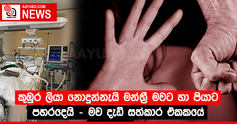 කුඹුර ලියා නොදුන්නැයි මන්ත්‍රී මවට හා පියාට පහරදෙයි - මව දැඩි සත්කාර ඒකකයේ  