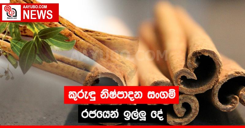 කුරුඳු නිෂ්පාදන සංගම් රජයෙන් ඉල්ලූ දේ