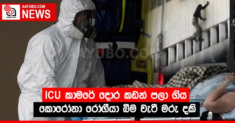 ICU කාමරේ දොර කඩන් පලා ගිය කොරෝනා රෝගීයා බිම වැටී මරු දකි