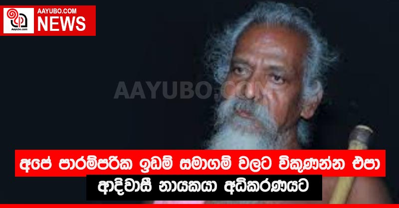 අපේ පාරම්පරික ඉඩම් සමාගම් වලට විකුණන්න එපා - ආදිවාසී නායකයා අධිකරණයට