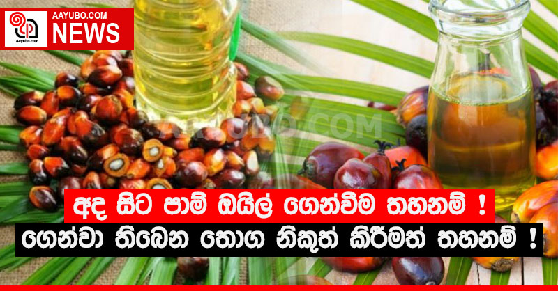 අද සිට පාම් ඔයිල් ගෙන්වීම තහනම් ! දැනට ගෙන්වා තිබෙන තොග නිකුත් කිරීමත් තහනම් !