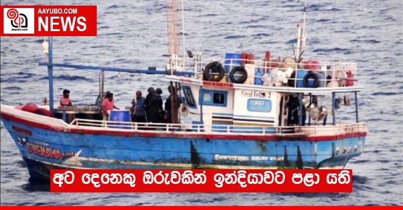 අට දෙනෙකු ඔරුවකින් ඉන්දියාවට පළා යති 