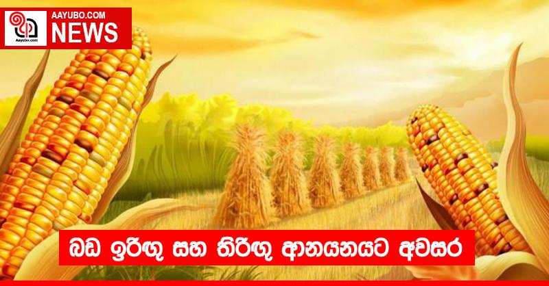 බඩ ඉරිඟු සහ තිරිඟු ආනයනයට අවසර