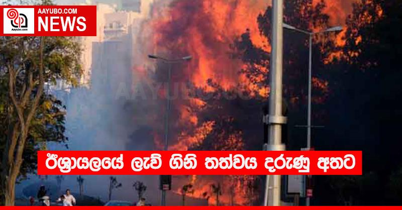 ඊශ්‍රායලයේ ලැව් ගිනි තත්වය දරුණු අතට