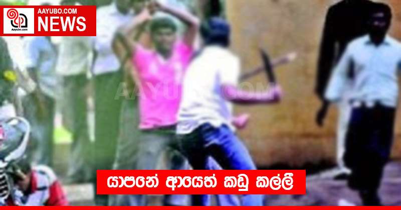 යාපනේ ආයෙත් කඩු කල්ලී