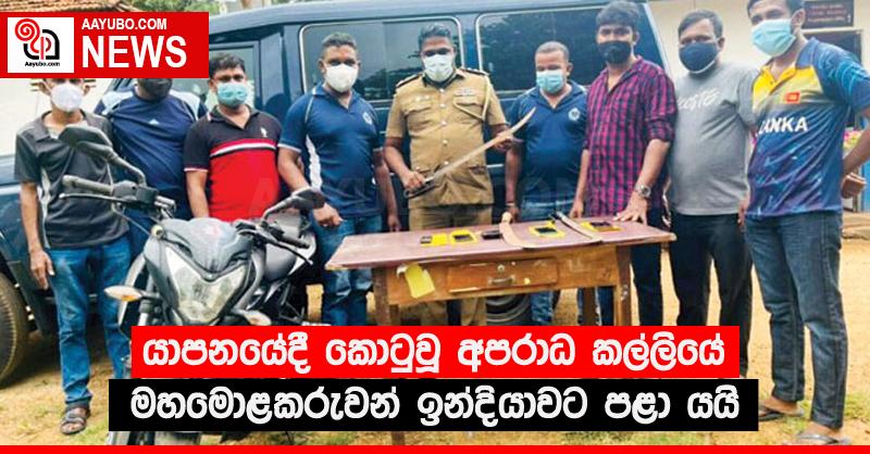 යාපනයේදී කොටුවූ අපරාධ කල්ලියේ මහමොළකරුවන් ඉන්දියාවට පළා යයි