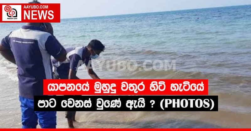 යාපනයේ මුහුදු වතුර හිටි හැටියේ පාට වෙනස් වුණේ ඇයි?