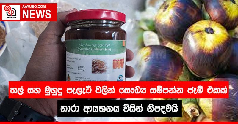 තල් සහ මුහුදු පැලෑටි වලින් සෞඛ්‍ය සම්පන්න ජෑම් එකක් නාරා ආයතනය නිපදවයි