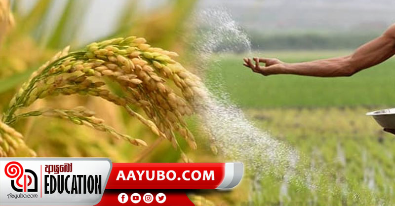 7 ශ්‍රේණිය - ඉතිහාසය: පැරණි ජන ජීවිතය 