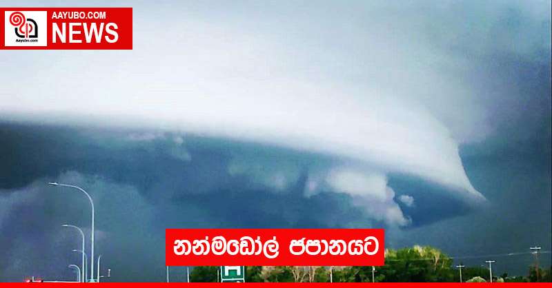 නන්මඩෝල් ජපානයට