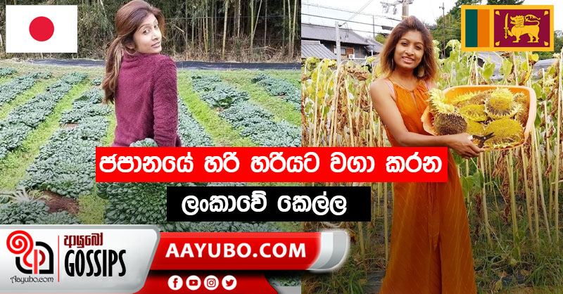 ජපානයේ හරි හරියට වගා කරන ලංකාවේ කෙල්ල (PHOTOS)