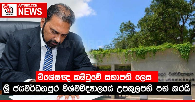 විශේෂඥ කමිටුවේ සභාපති ලෙස ශ්‍රී ජයවර්ධනපුර විශ්වවිද්‍යාලයේ උපකුලපති පත් කරයි