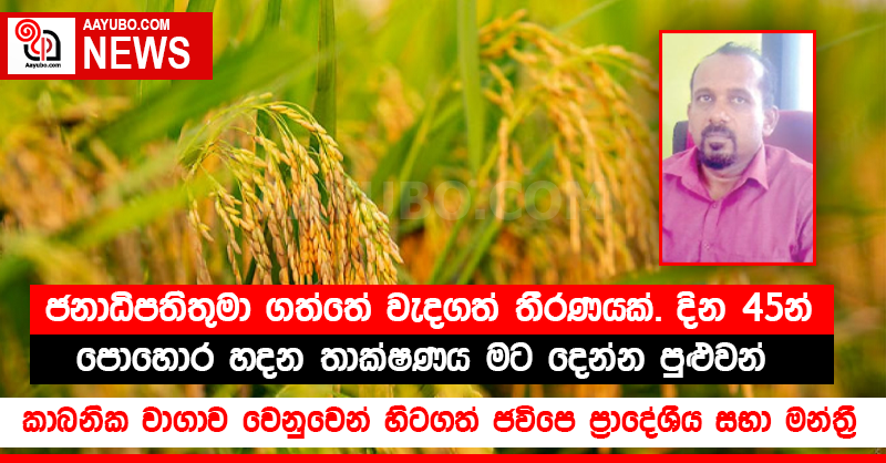 "ජනාධිපතිතුමා ගත්තේ වැදගත් තීරණයක්. දින 45න් පොහොර හදන තාක්ෂණය මට දෙන්න පුළුවන්" - ලොක්කො බෑ කියද්දි කාබනික වාගාව වෙනුවෙන් හිටගත් ජවිපෙ ප්‍රාදේශීය සභා මන්ත්‍රී