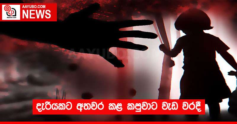 දැරියකට අතවර කළ කපුවාට වැඩ වරදී