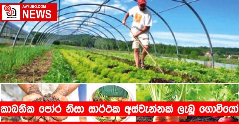 කාබනික පෝර නිසා සාර්ථක අස්වැන්නක් ලැබූ ගොවියෝ