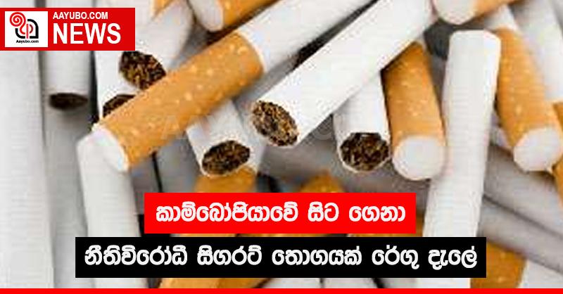 කාම්බෝජියාවේ සිට ගෙනා නීතිවිරෝධී සිගරට් තොගයක් රේගු දැලේ
