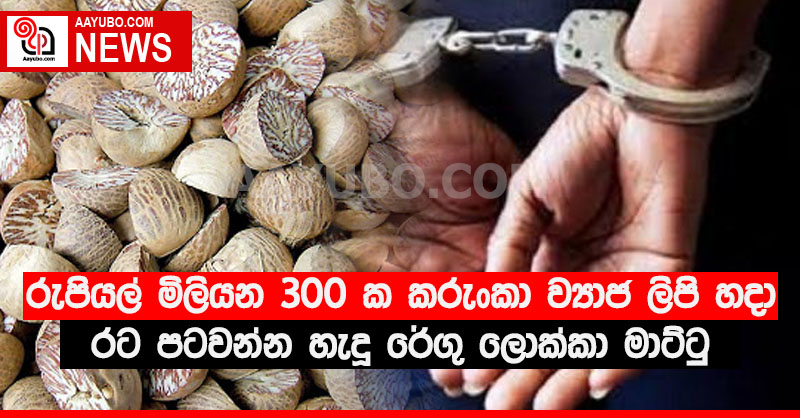 රුපියල් මිලියන 300 ක කරුංකා ව්‍යාජ ලිපි හදා රට පටවන්න හැදූ රේගු ලොක්කා මාට්ටු