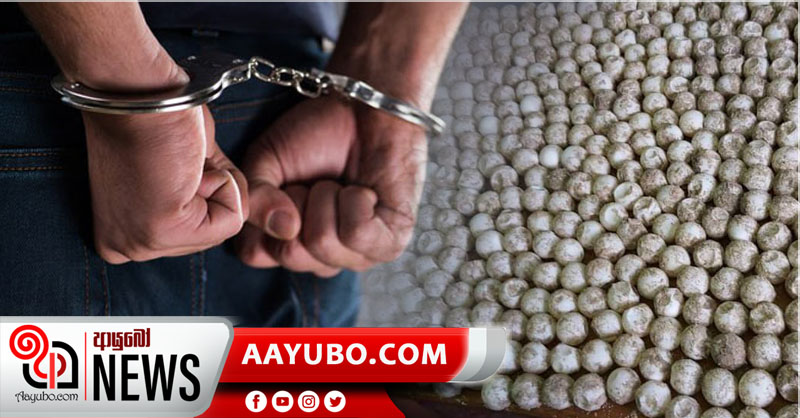 කැස්බෑ බිත්තර තොගයක් සමග සිව් දෙනෙකු අත්අඩංගුවට
