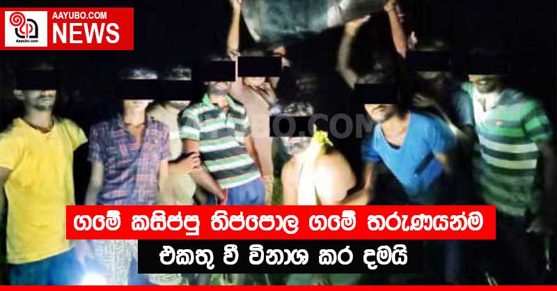 ගමේ කසිප්පු ති⁣ප්පොල ගමේ තරුණයන්ම එකතු වී විනාශ කර දමයි