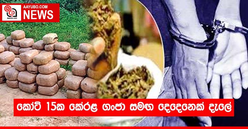 කෝටි 15ක කේරළ ගංජා සමඟ දෙදෙනෙක් දැලේ