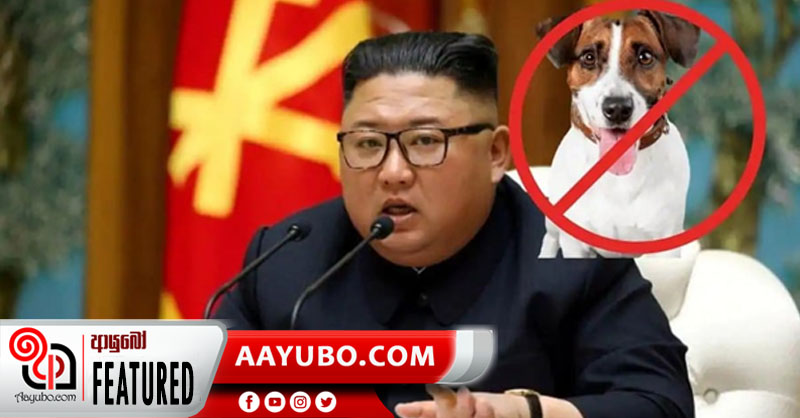 උතුරු කොරියාවේ සුනඛයන් මස් වලට විකිණීමට නීතියක්