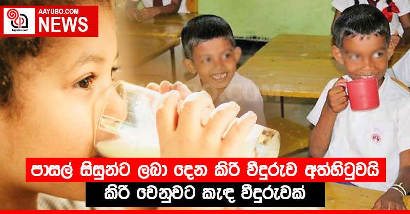 පාසල් සිසුන්ට ලබා දෙන කිරි වීදුරුව අත්හිටුවයි - කිරි වෙනුවට කැඳ වීදුරුවක්