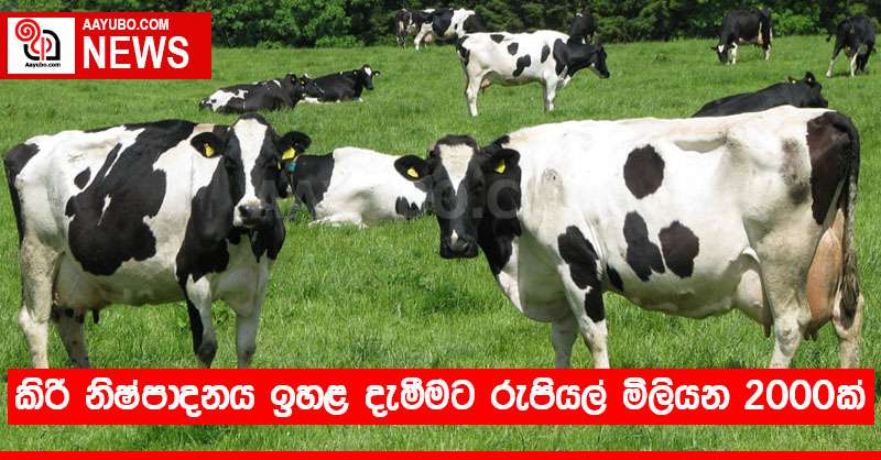 කිරි නිෂ්පාදනය ඉහළ දැමීමට රුපියල් මිලියන 2000ක්