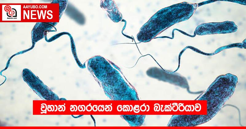 වූහාන් නගරයෙන් කොළරා බැක්ටීරියාව