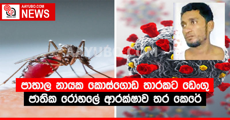පාතාල නායක කොස්ගොඩ තාරකට ඩෙංගු ජාතික රෝහලේ ආරක්ෂාව තර කෙරේ