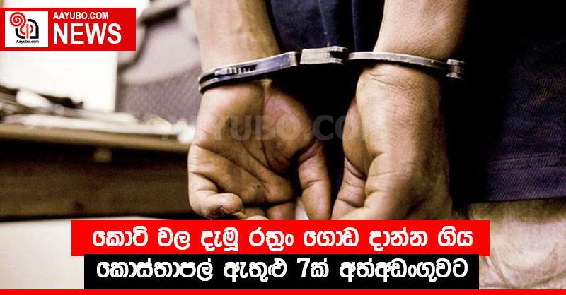 කොටි වල දැමූ රත්‍රං ගොඩ දාන්න ගිය කොස්තාපල් ඇතුළු 7ක් අත්අඩංගුවට