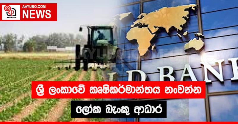 ශ්‍රී ලංකාවේ කෘෂිකර්මාන්තය නංවන්න ලෝක බැංකු ආධාර