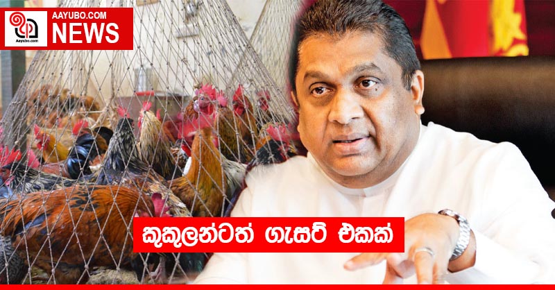 කුකුල් මස් වලටත් ගැසට් එකක්
