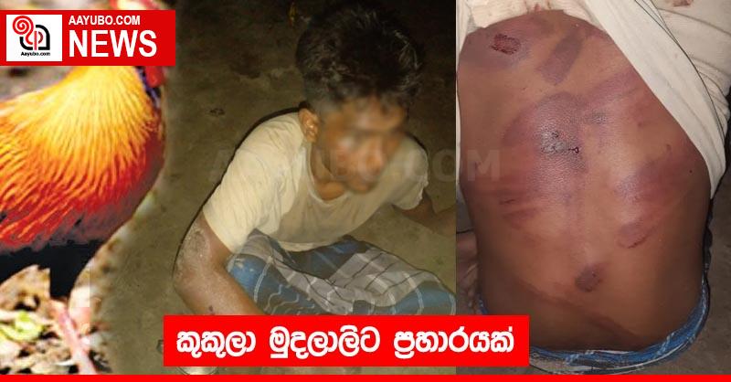 කුකුලා මුදලාලිට ප්‍රහාරයක්