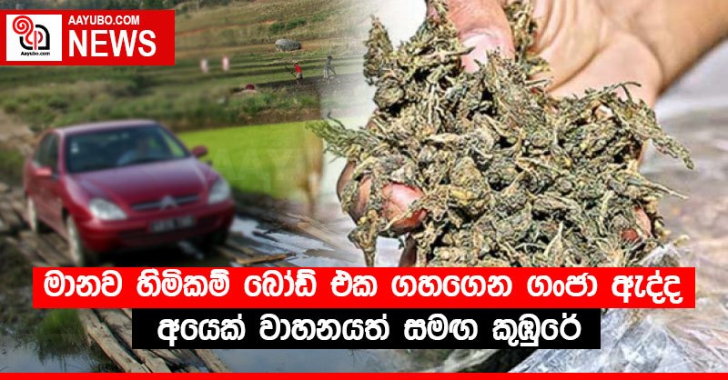 මානව හිමිකම් බෝඩ් එක ගහගෙන ගංජා ඇද්ද අයෙක් වාහනයත් සමඟ ⁣කුඹුරේ
