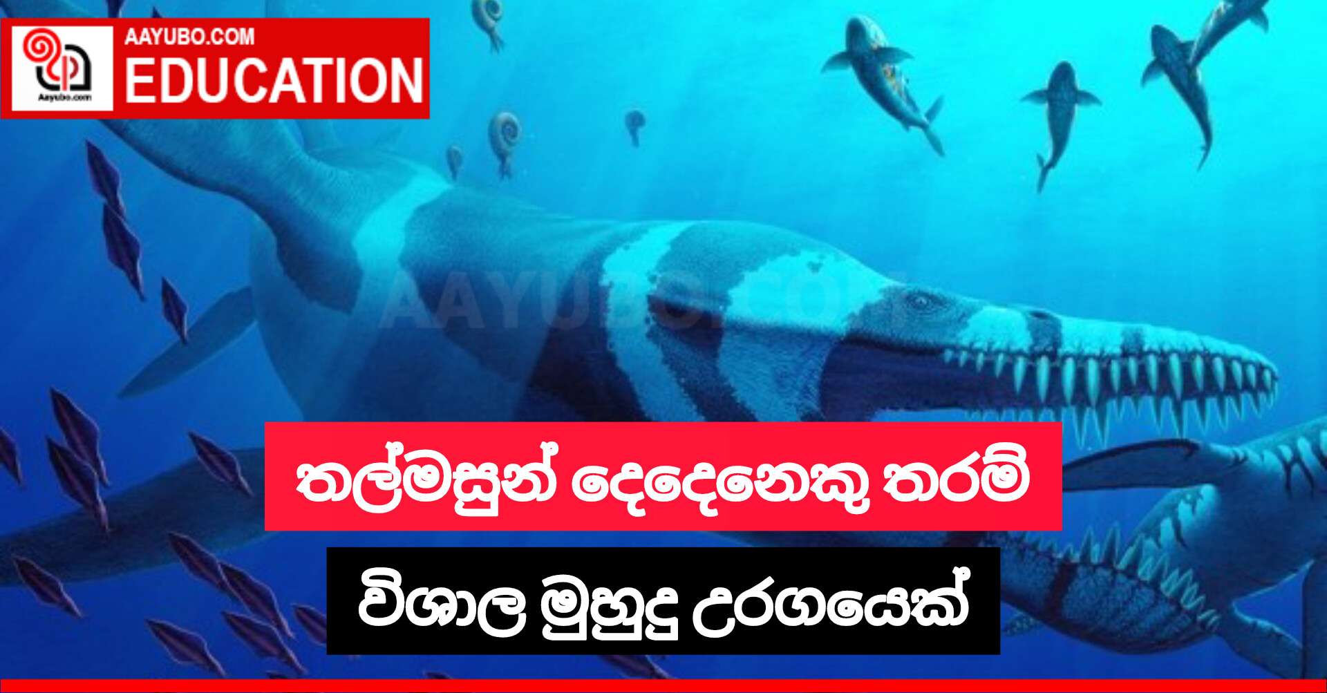 තල්මසුන් දෙදෙනෙකු තරම් විශාල මුහුදු උරගයෙක්