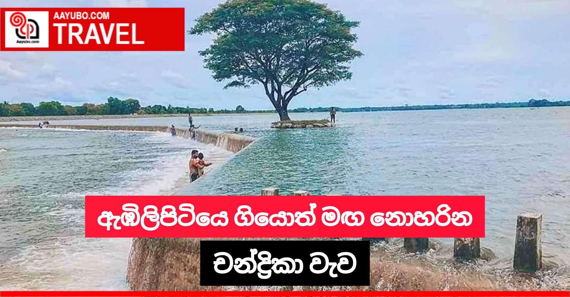 ඇඹිලිපිටියෙ ගියොත් මඟ නොහරින චන්ද්‍රිකා වැව