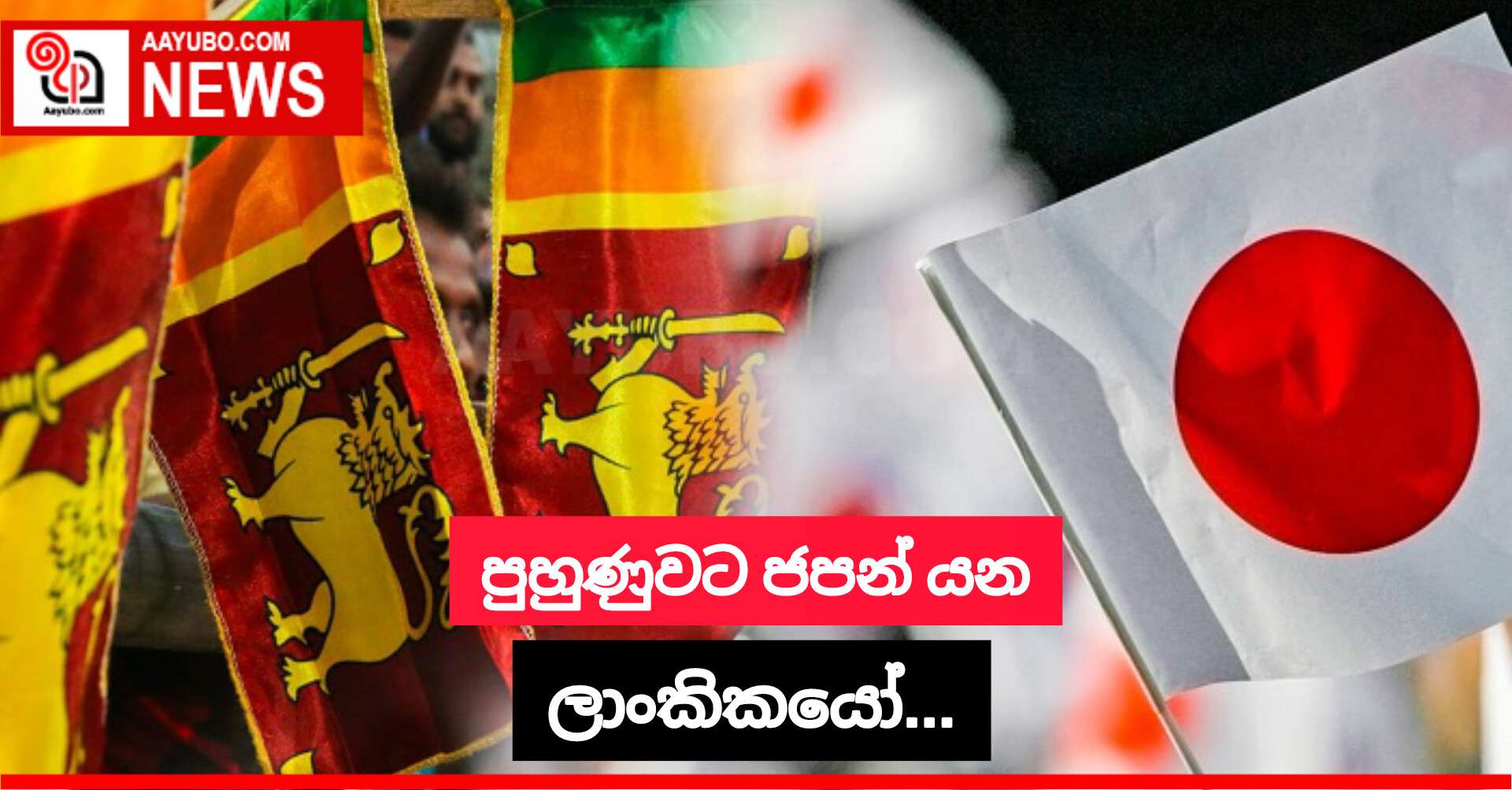 පුහුණුවට ජපන් යන ලාංකිකයෝ