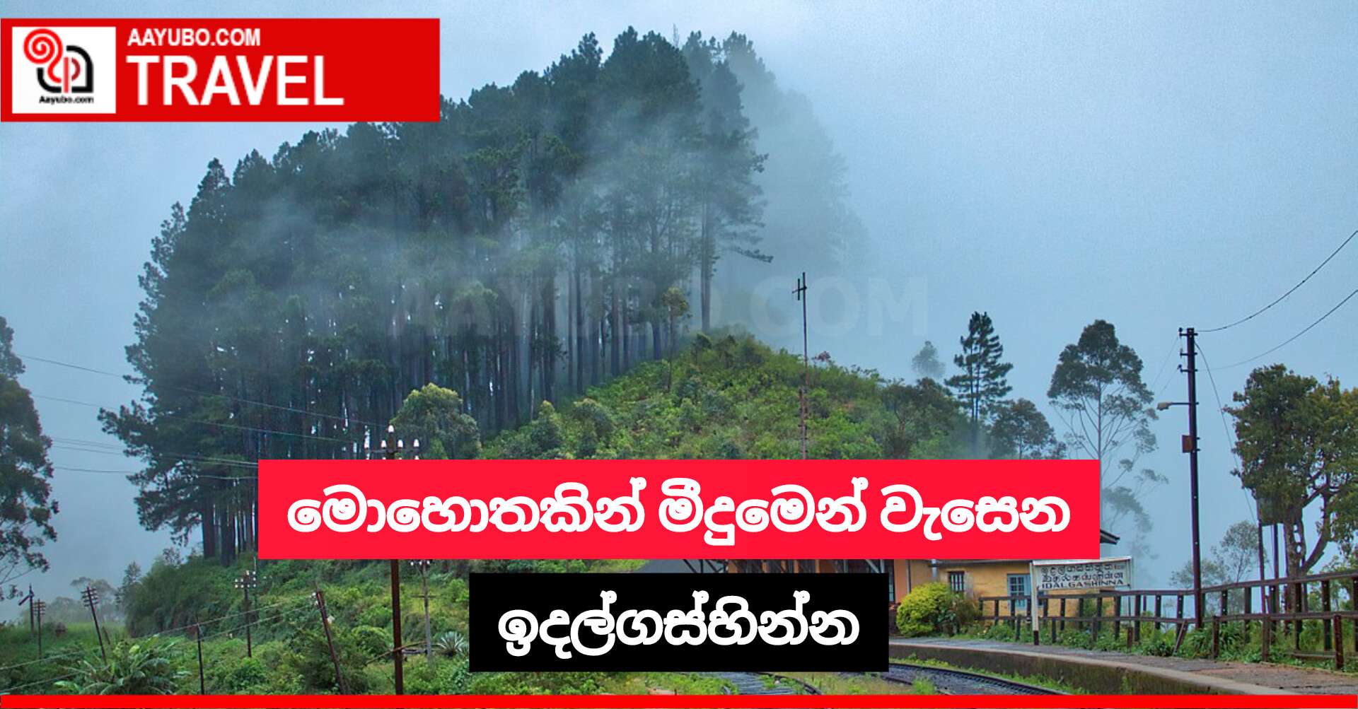 මොහොතකින් මීදුමෙන් වැසෙන ඉදල්ගස්හින්න