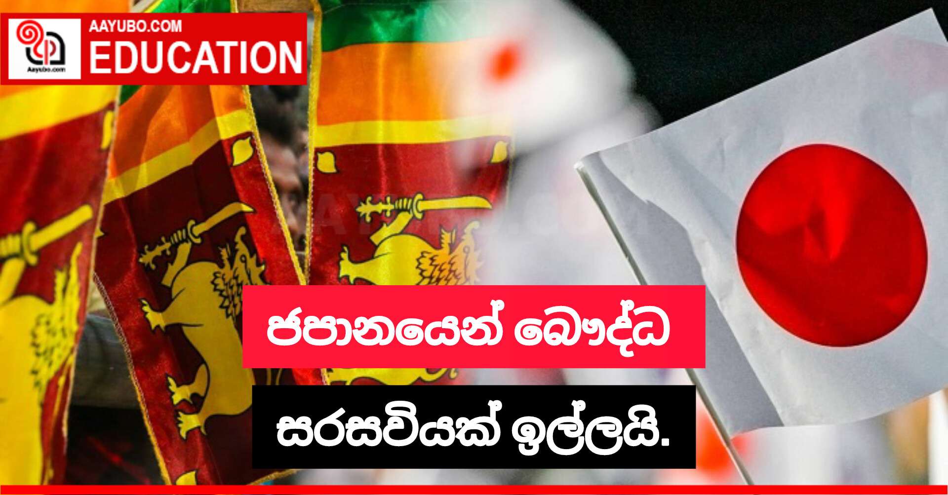 ජපානයෙන් බෞද්ධ සරසවියක් ඉල්ලයි.