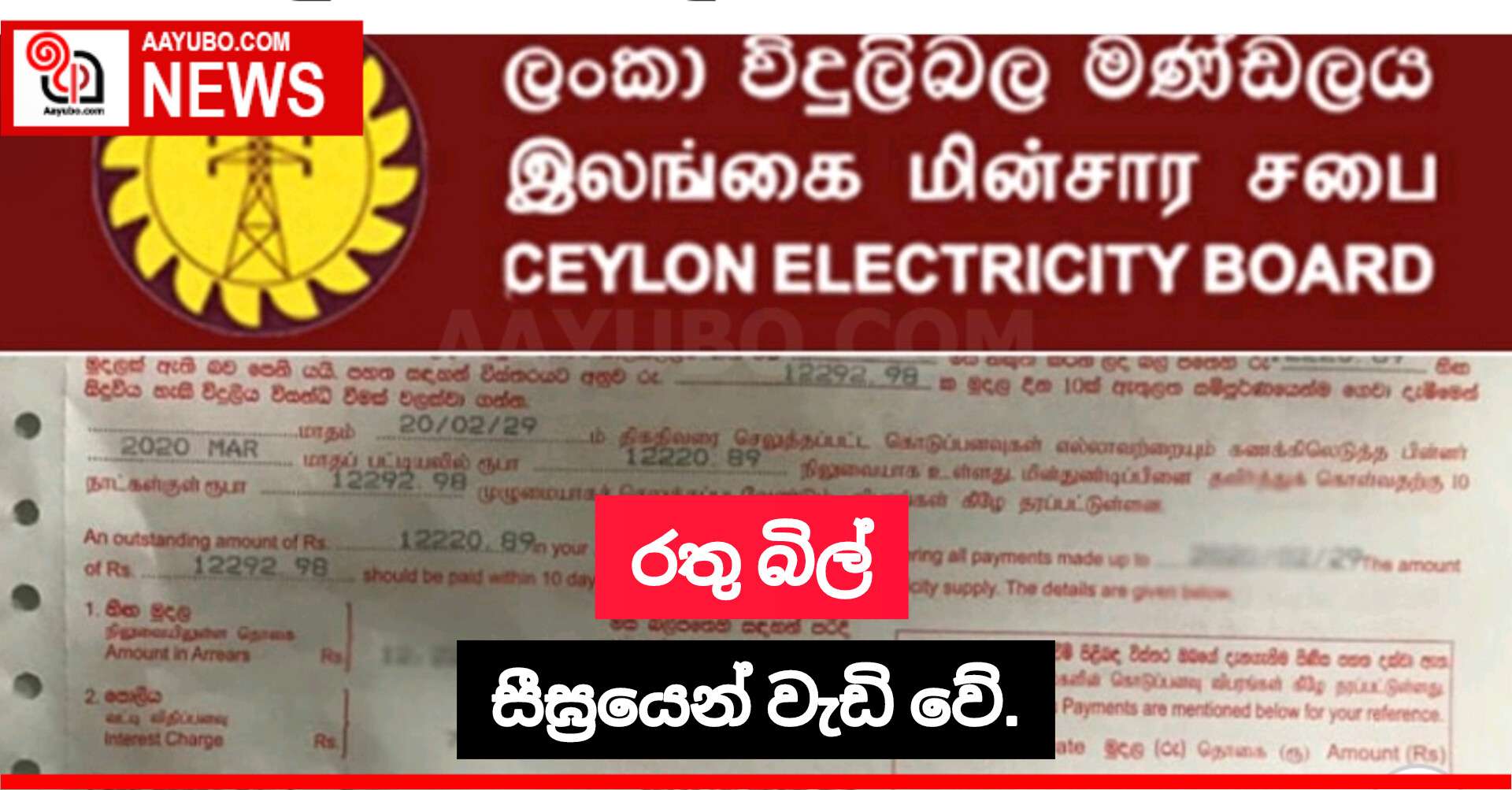 රතු බිල් සීඝ්‍රයෙන් වැඩි වේ.
