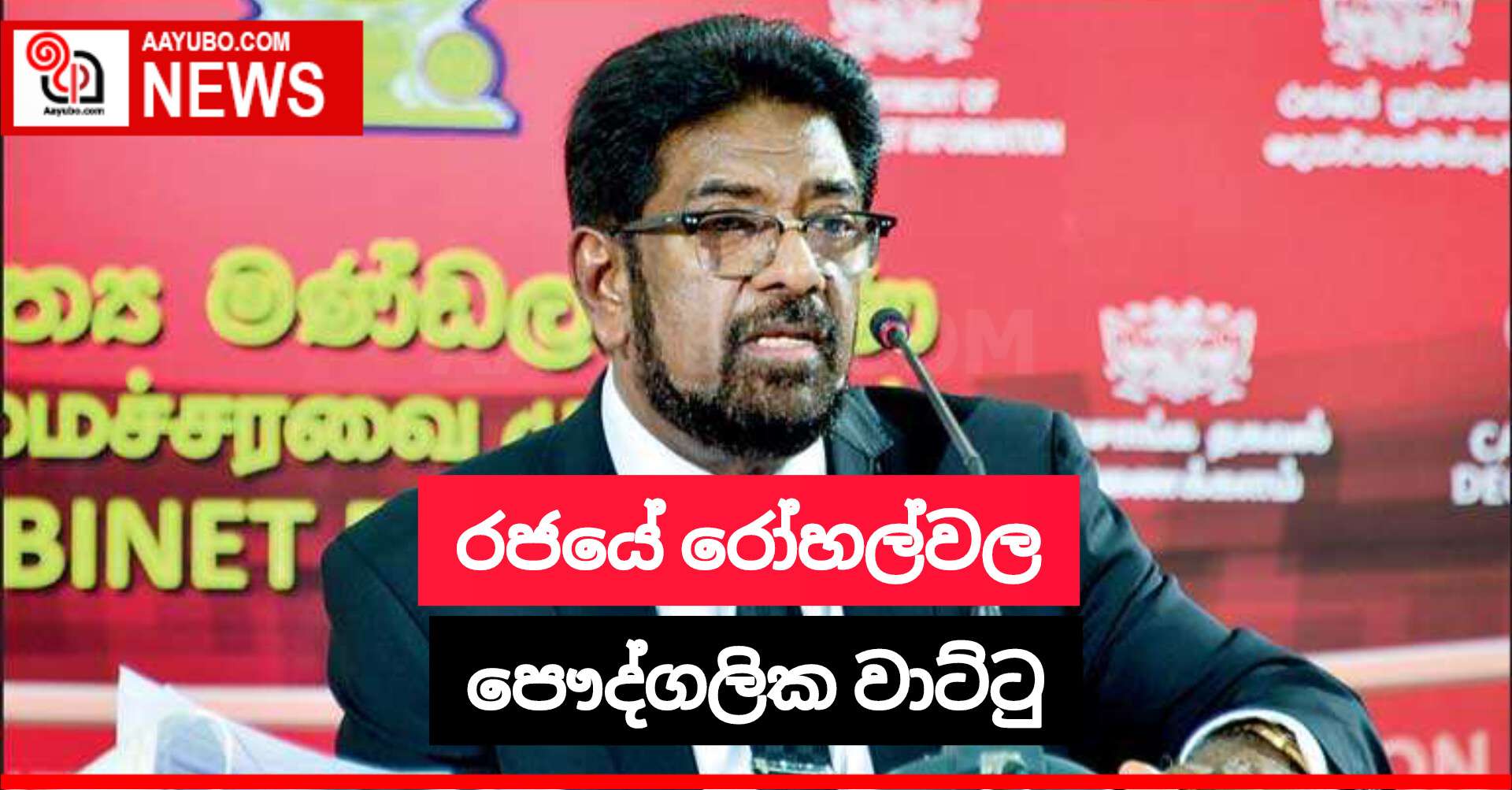 රජයේ රෝහල්වල පෞද්ගලික වාට්ටු