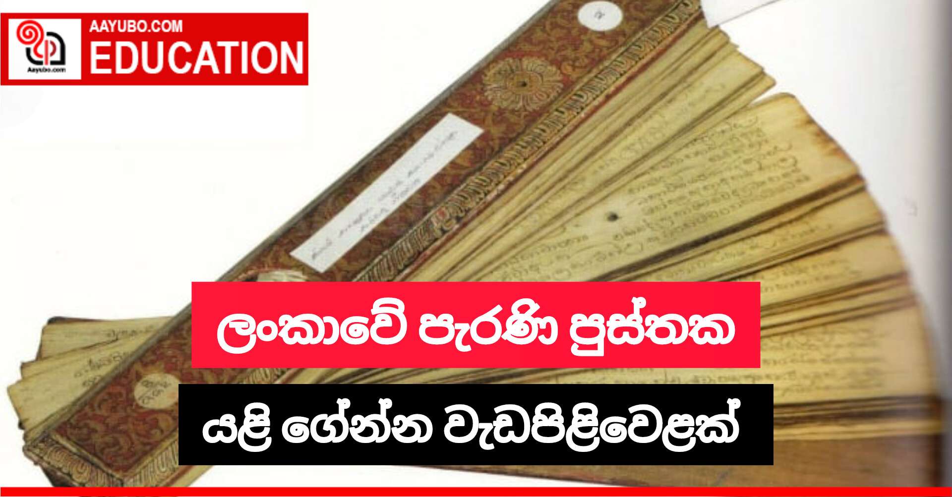 ලංකාවේ පැරණි පුස්තක යලි ගේන්න වැඩපිළිවෙළක් 