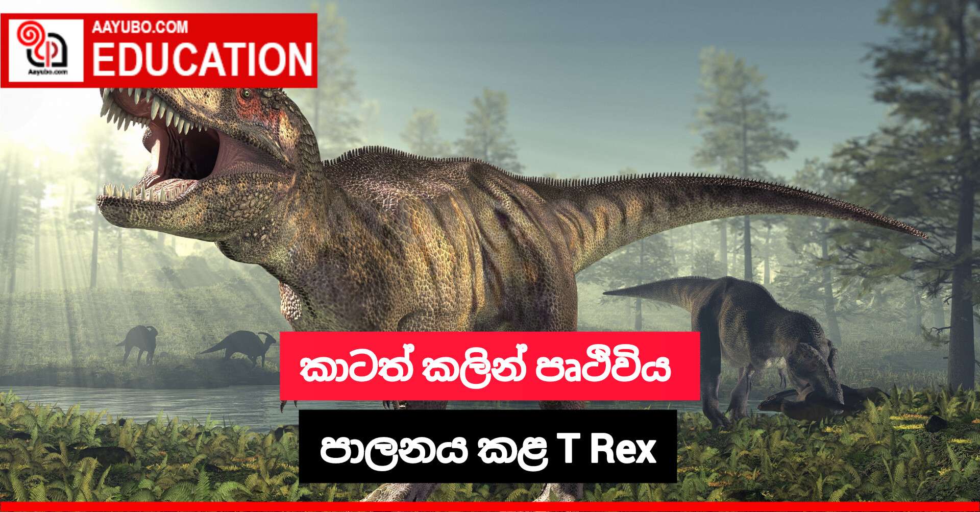 කාටත් කලින් පෘථිවිය පාලනය කළ T Rex