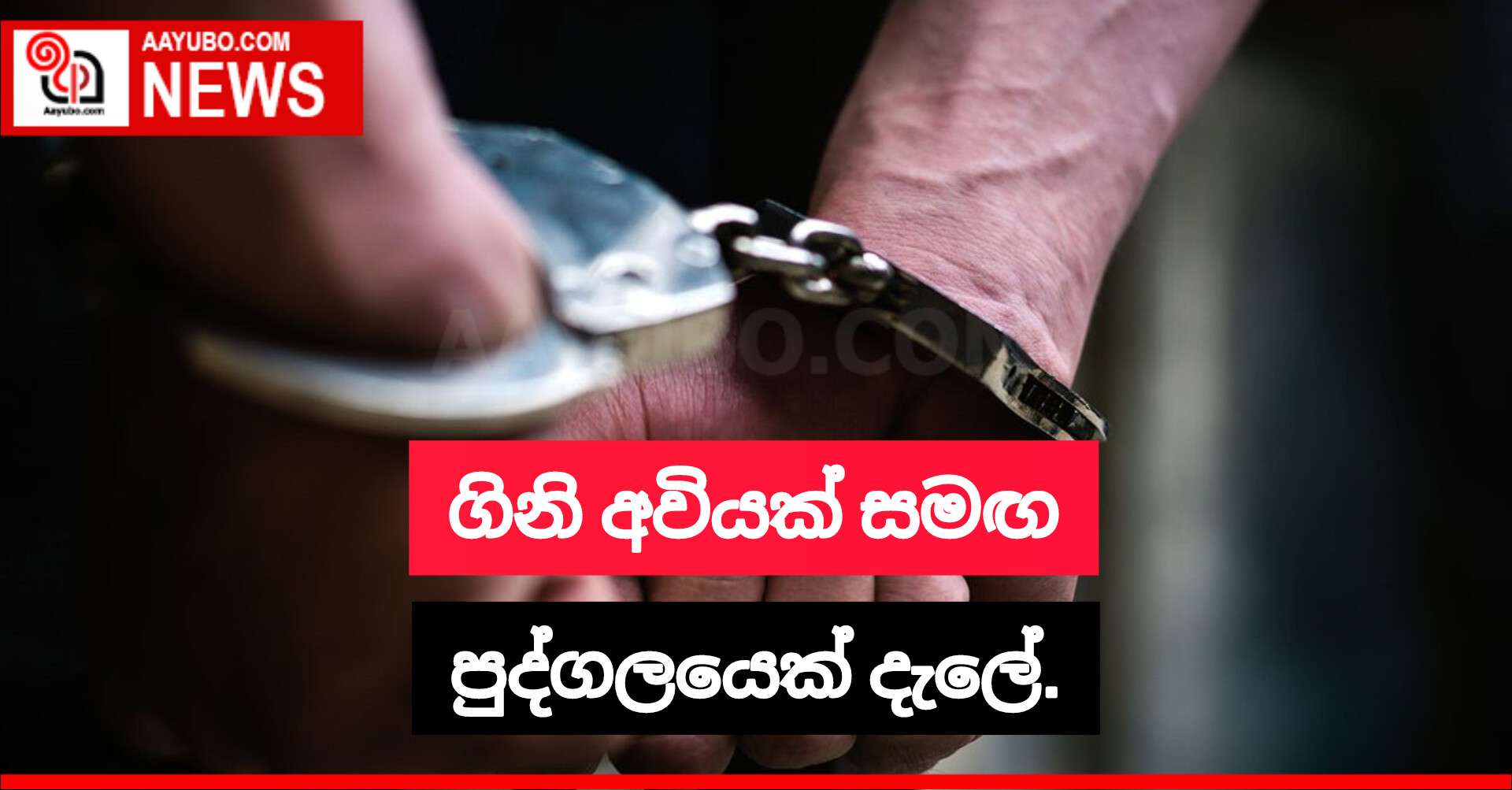 කොග්ගලින් ගිනි අවියක් සමඟ පුද්ගලයෙක් දැලේ
