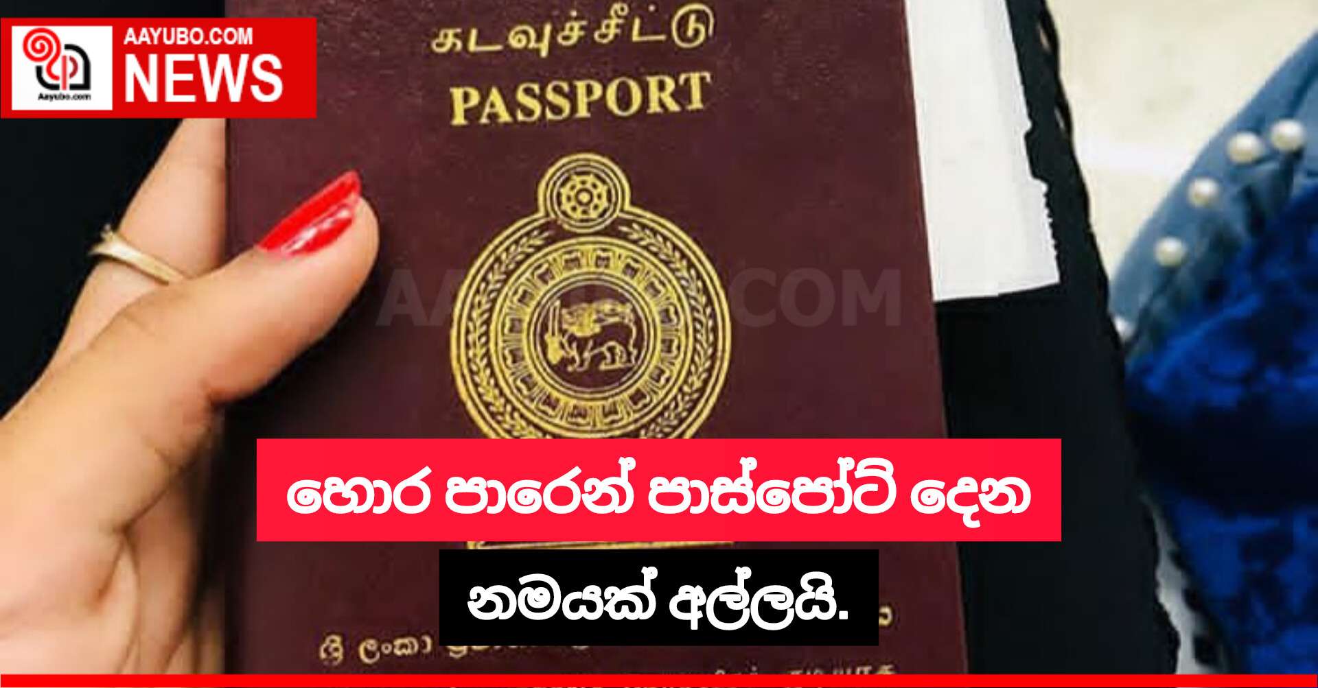 හොර පාරෙන් පාස්පෝට් දෙන නමයක් අල්ලයි.