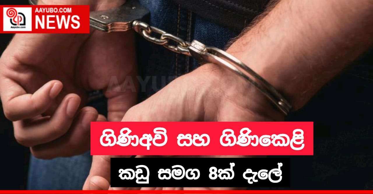 ගිණිඅවි සහ ගිණිකෙළි