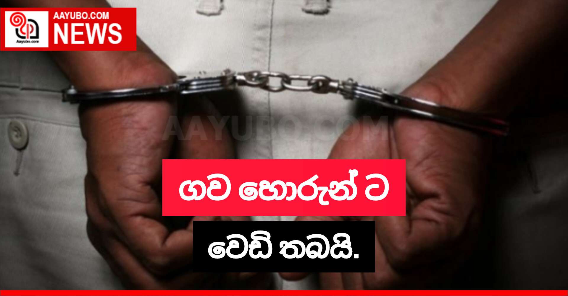 ගව හොරුන් ට වෙඩි තබයි.
