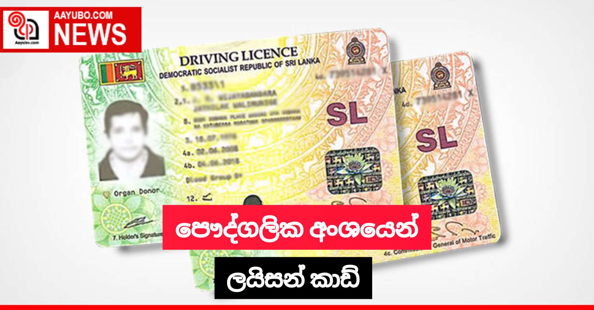 පෞද්ගලික අංශයෙන් ලයිසන් කාඩ්