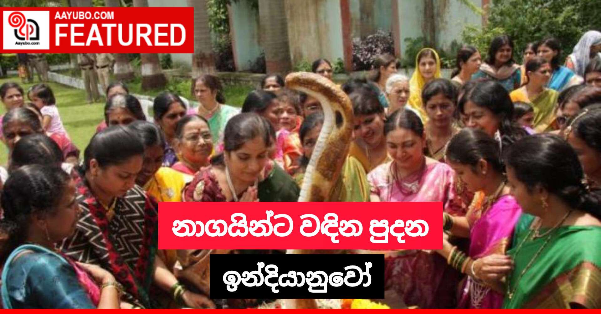 නාගයින්ට වඳින පුදන ඉන්දියානුවෝ